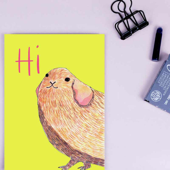 wonder of today - Postkarte - Grüße vom Meerschweinchen