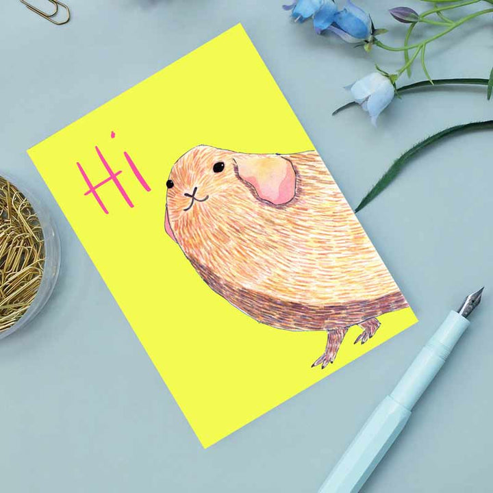 wonder of today - Postkarte - Grüße vom Meerschweinchen