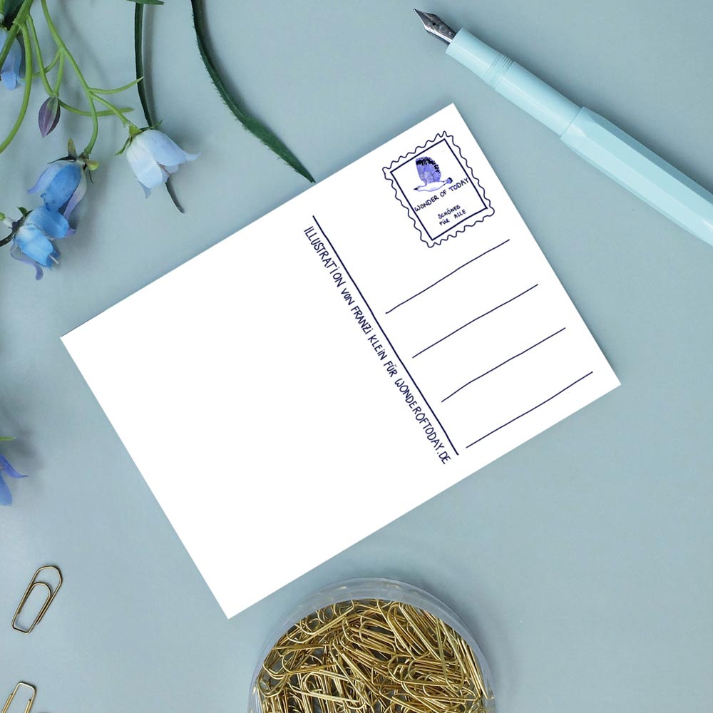 wonder of today - Postkarte - Grüße vom Meerschweinchen
